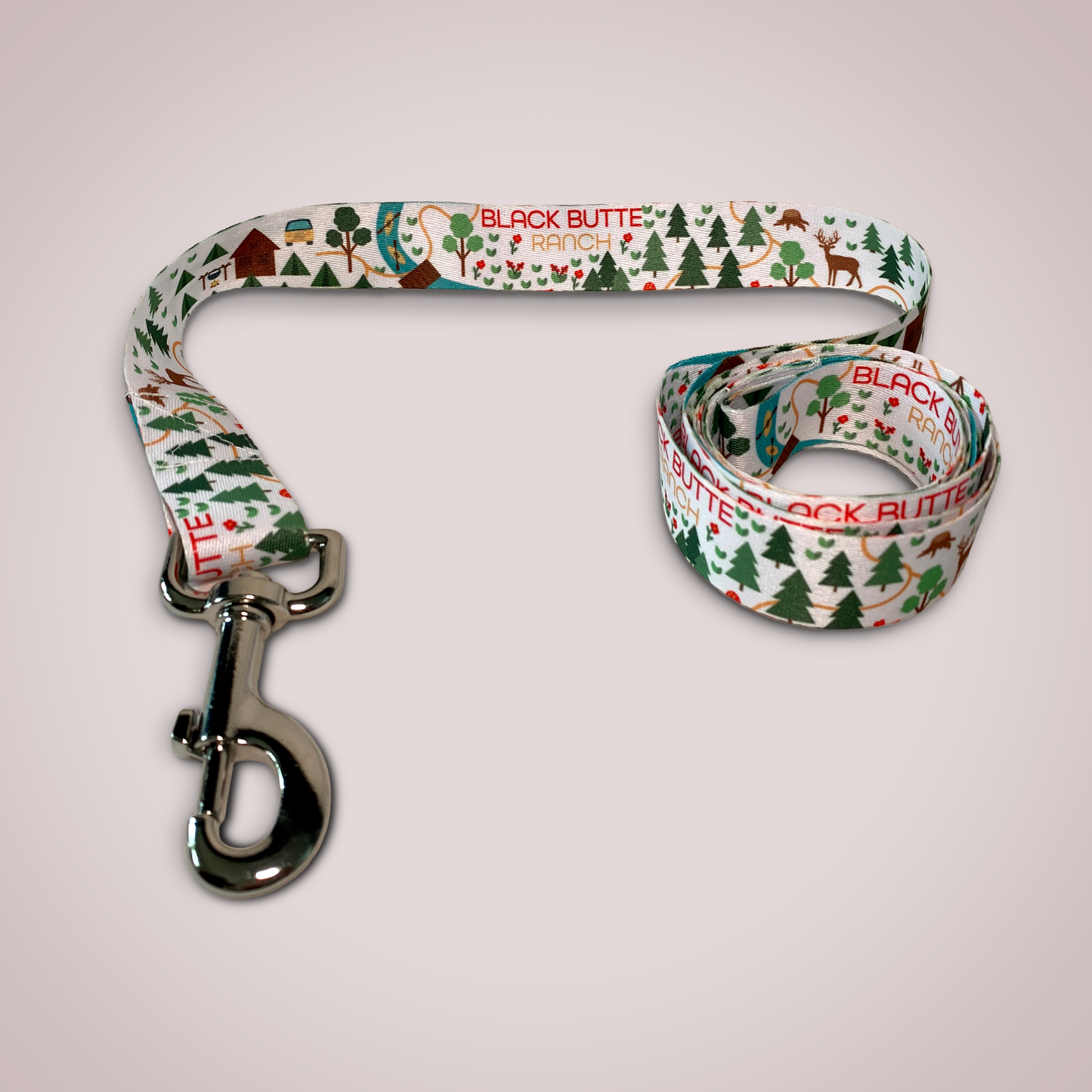 Satin Dog Leash with Julia Gash Art